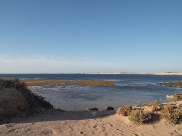 View from camp at Tractor Beach