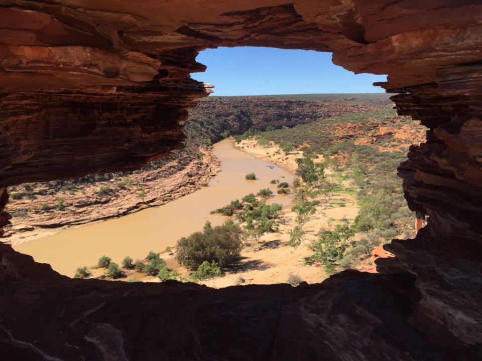 the view through natures window