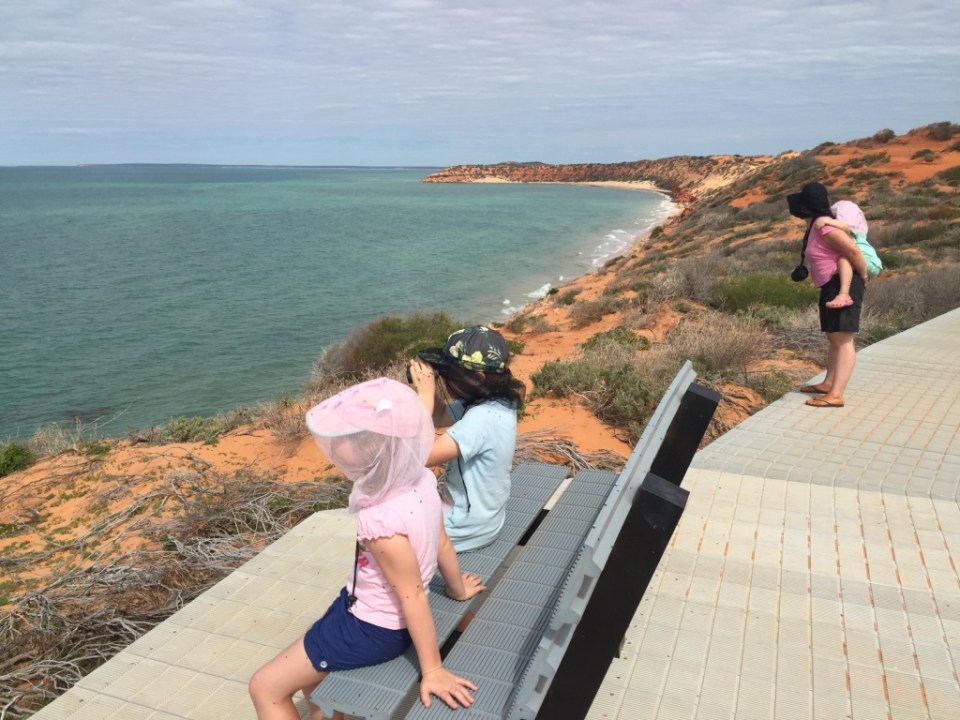 on the board walk looking for sealife.