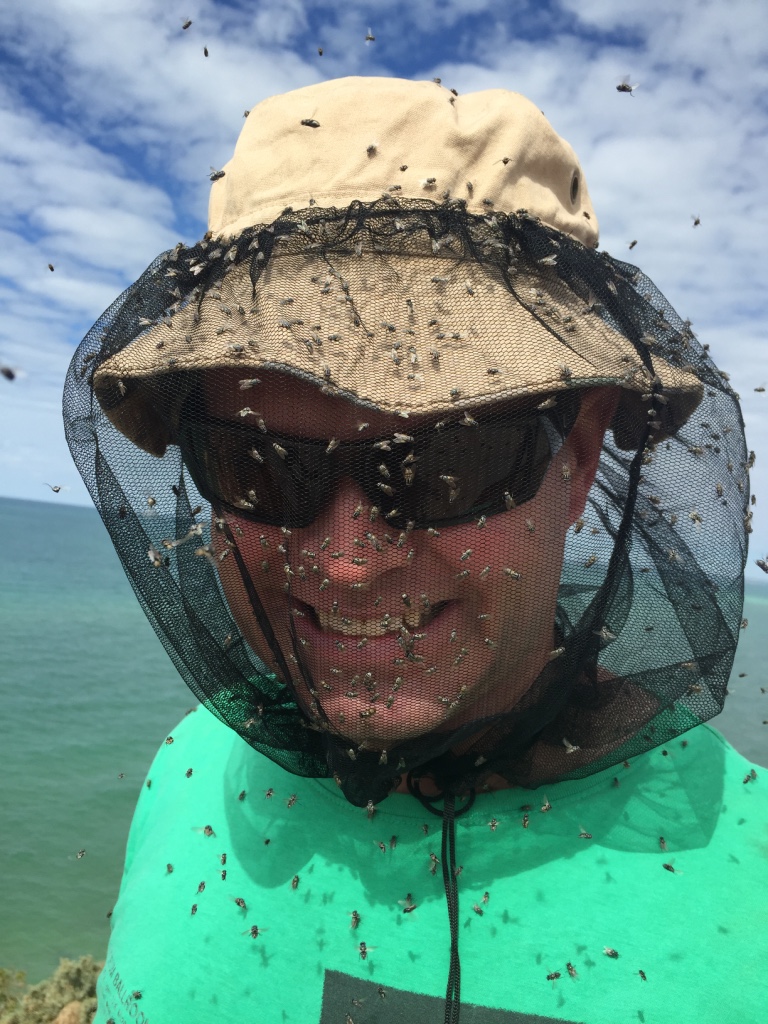 The crazy flies at Francios Peron