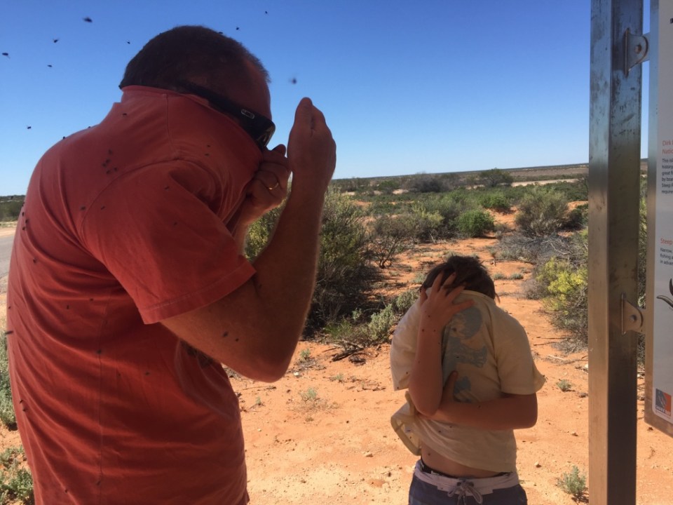 Got out to read a sign and a few bush flies arrived to say hello