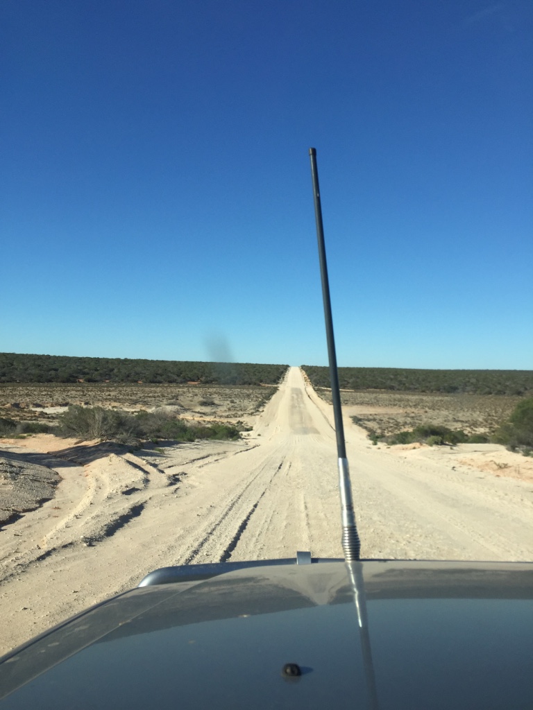 another view of the road ahead...it is quite barren sandy land but very great after recent rain.