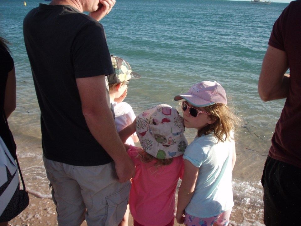 Looking at the dolphins in the beach line