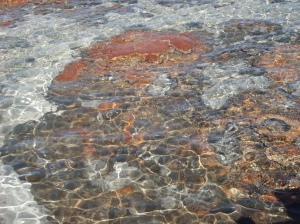 a Stromatalite