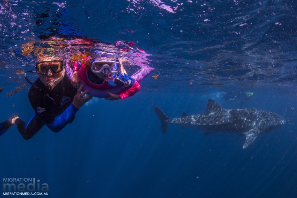 Andrew and Bianca with the whale shark