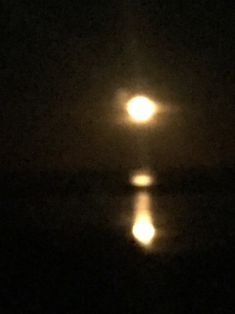 Staircase to the moon cool to watch hard to photograph