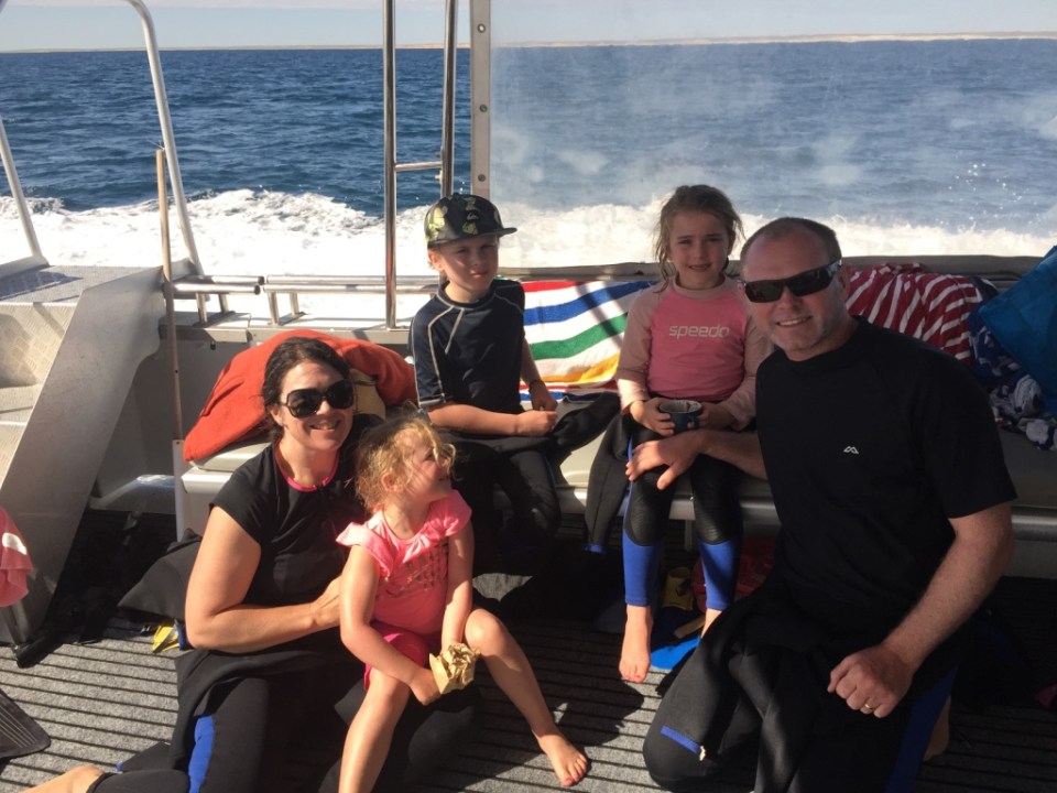 On the way to find the whale shark