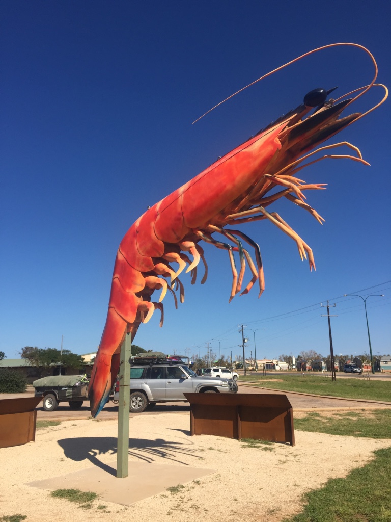 The BIG prawn! 
