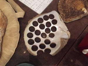 Pearl buttons cut from pearl shell