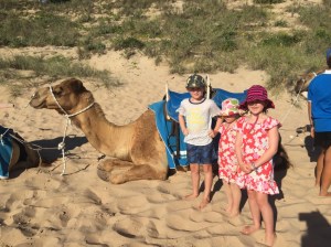 Meeting a camel...this one was friendly to pat.
