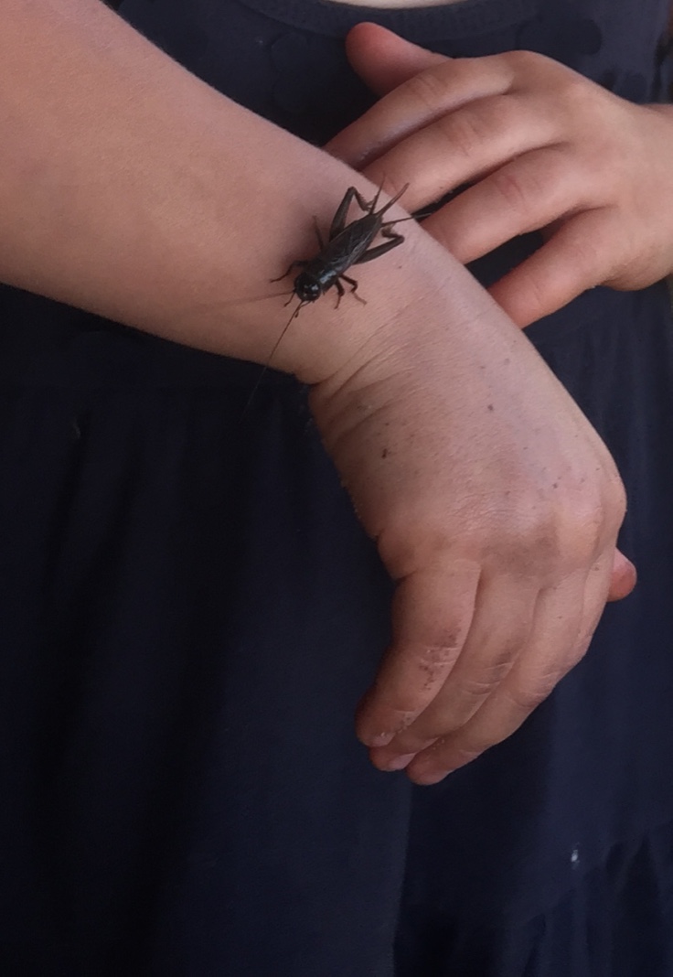 Bianca cricket friend