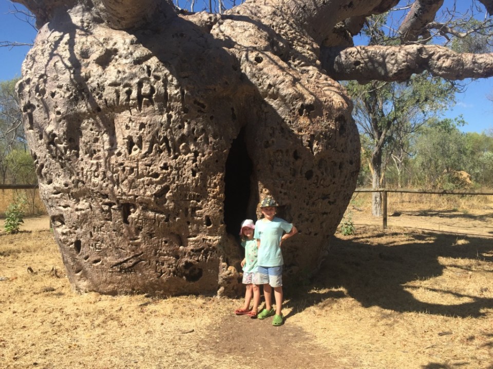 Aaron and Bianca looking into the prison bomb tree