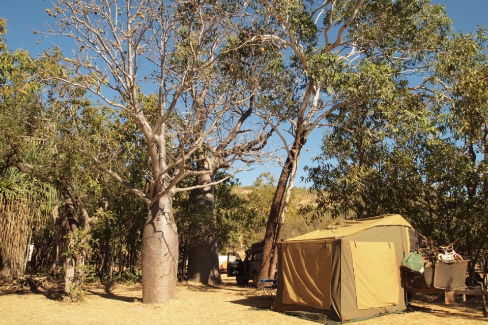 Camp at Silent Grove