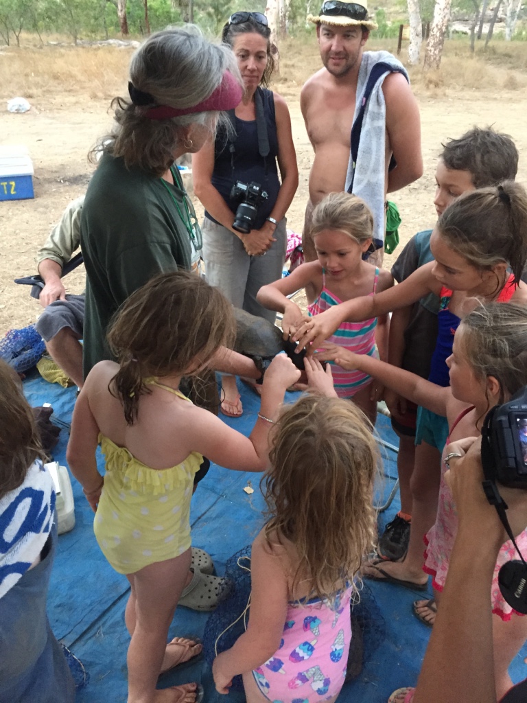 All the kids in camp enjoying turtles