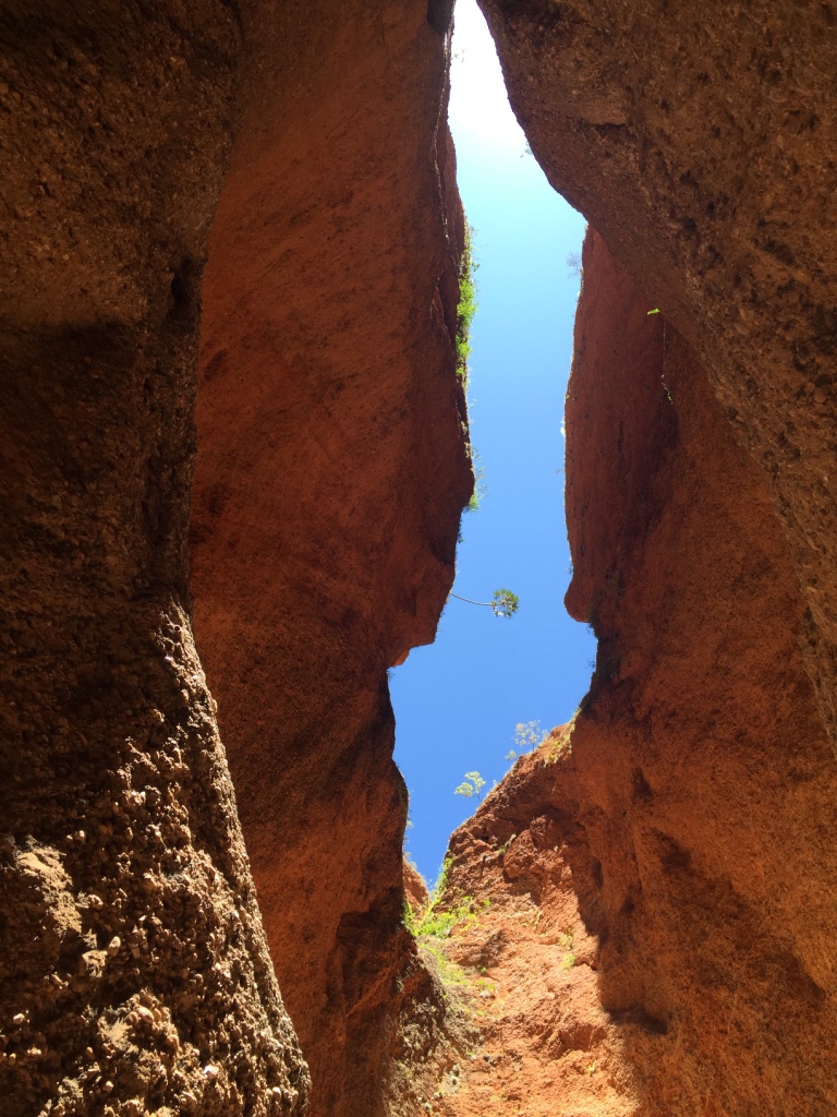 Looking up to bits of blue sky