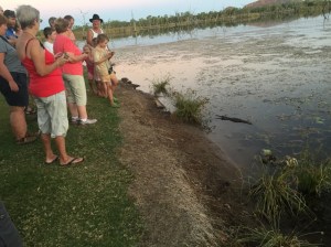 Freshie draws a crowd