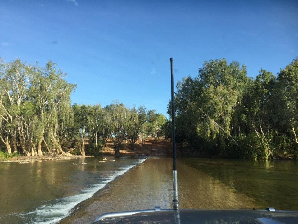 Holly pointing out a Kookaburra in the 